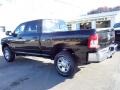 Diamond Black Crystal Pearl - 2500 Tradesman Crew Cab 4x4 Photo No. 3