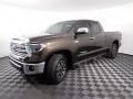  2020 Tundra Limited Double Cab 4x4 Smoked Mesquite