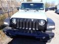 Earl - Wrangler Unlimited Willys 4x4 Photo No. 2