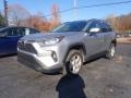 Silver Sky Metallic - RAV4 XLE Photo No. 6