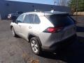 Silver Sky Metallic - RAV4 XLE Photo No. 8