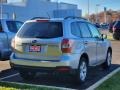 Ice Silver Metallic - Forester 2.5i Premium Photo No. 5