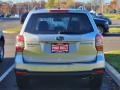 Ice Silver Metallic - Forester 2.5i Premium Photo No. 6