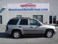 Light Pewter Metallic - TrailBlazer LS 4x4 Photo No. 1