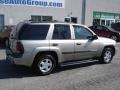 Light Pewter Metallic - TrailBlazer LS 4x4 Photo No. 2