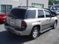 Light Pewter Metallic - TrailBlazer LS 4x4 Photo No. 3