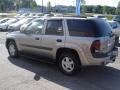 Light Pewter Metallic - TrailBlazer LS 4x4 Photo No. 6
