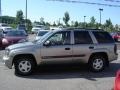 Light Pewter Metallic - TrailBlazer LS 4x4 Photo No. 7