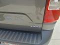 Carbonized Gray - Maverick XL AWD Photo No. 13