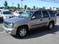 Light Pewter Metallic - TrailBlazer LS 4x4 Photo No. 18