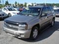 Light Pewter Metallic - TrailBlazer LS 4x4 Photo No. 19