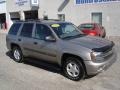 Light Pewter Metallic - TrailBlazer LS 4x4 Photo No. 22