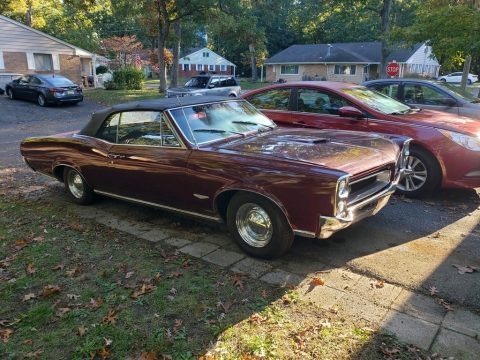 1966 Pontiac GTO Convertible Data, Info and Specs