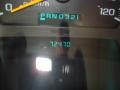 Light Pewter Metallic - TrailBlazer LS 4x4 Photo No. 30
