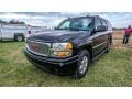 2004 Onyx Black GMC Yukon XL Denali AWD  photo #8