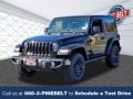 Black 2023 Jeep Wrangler Freedom Edition 4x4