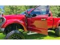 Ruby Red - F350 Super Duty Platinum Crew Cab 4x4 Photo No. 10