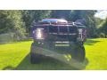 Ruby Red - F350 Super Duty Platinum Crew Cab 4x4 Photo No. 20