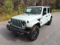 Earl - Wrangler Unlimited Freedom Edition 4x4 Photo No. 2