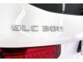 Polar White - GLC 300 Photo No. 31
