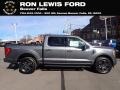 Carbonized Gray Metallic - F150 XLT SuperCrew 4x4 Photo No. 1