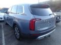 Everlasting Silver - Telluride EX AWD Photo No. 2