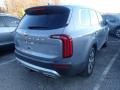 Everlasting Silver - Telluride EX AWD Photo No. 4