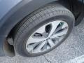 Everlasting Silver - Telluride EX AWD Photo No. 5