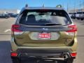 2022 Autumn Green Metallic Subaru Forester Wilderness  photo #5