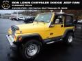 2002 Solar Yellow Jeep Wrangler SE 4x4 #145165241