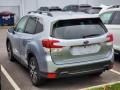 Ice Silver Metallic - Forester 2.5i Limited Photo No. 8