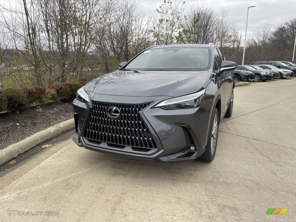 2023 NX 350 Premium AWD - Cloudburst Gray / Dark Rose photo #1