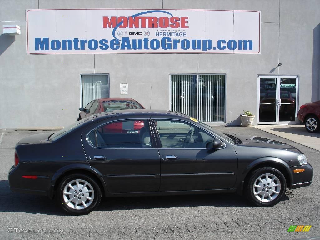 2001 Maxima GXE - Gray Lustre Metallic / Frost photo #1