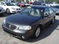 2001 Gray Lustre Metallic Nissan Maxima GXE  photo #19