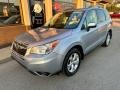 Ice Silver Metallic - Forester 2.5i Premium Photo No. 2