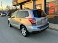 Ice Silver Metallic - Forester 2.5i Premium Photo No. 32