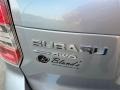 Ice Silver Metallic - Forester 2.5i Premium Photo No. 34