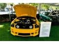 2005 Screaming Yellow Ford Mustang Roush Stage 3 Coupe  photo #6