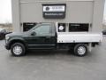 Green Gem - F150 XL Regular Cab Photo No. 1