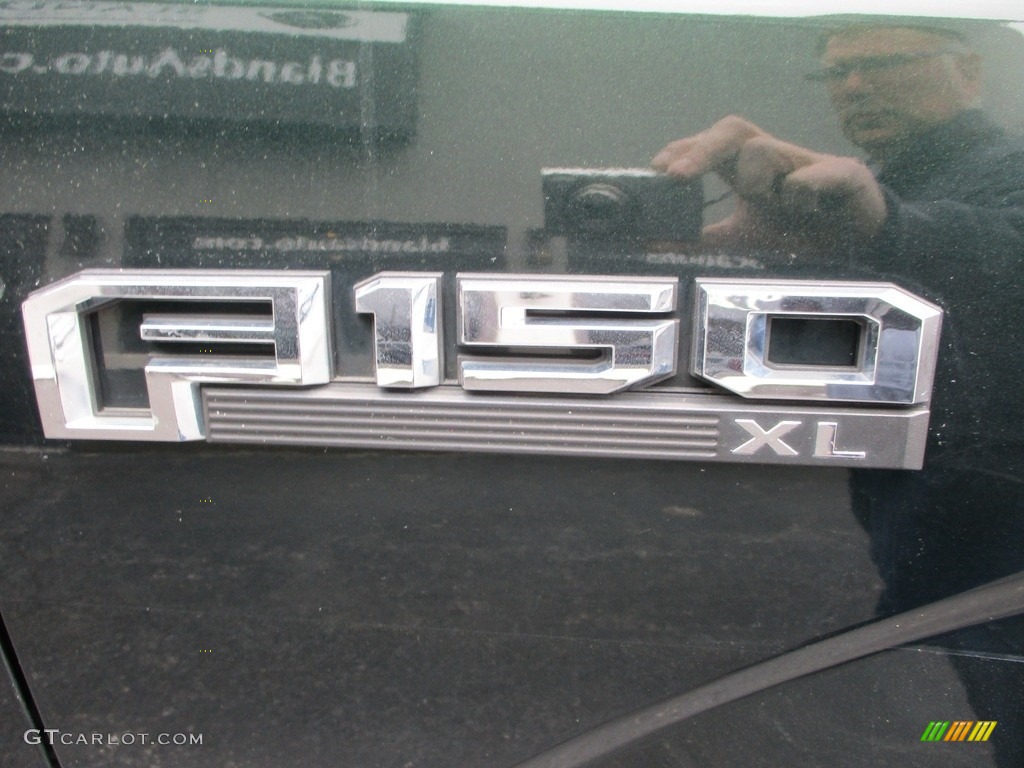 2016 F150 XL Regular Cab - Green Gem / Medium Earth Gray photo #16