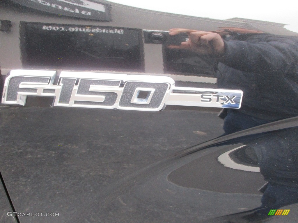 2013 F150 STX SuperCab 4x4 - Tuxedo Black Metallic / Steel Gray photo #27