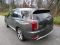 Steel Graphite - Palisade Limited AWD Photo No. 10