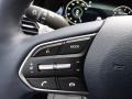 Navy/Beige Steering Wheel Photo for 2022 Hyundai Palisade #145184478