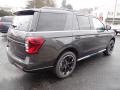 Dark Matter Metallic - Expedition Limited 4x4 Photo No. 5