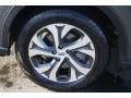 Magnetite Gray Metallic - Outback 2.5i Limited Photo No. 23