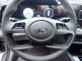 2023 Electric Shadow Hyundai Elantra SEL  photo #15