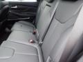Black Rear Seat Photo for 2023 Hyundai Santa Fe #145194091