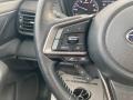 Magnetite Gray Metallic - Outback 2.5i Premium Photo No. 19