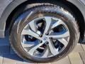 Magnetite Gray Metallic - Outback 2.5i Limited Photo No. 28