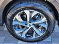 Magnetite Gray Metallic - Outback 2.5i Limited Photo No. 32